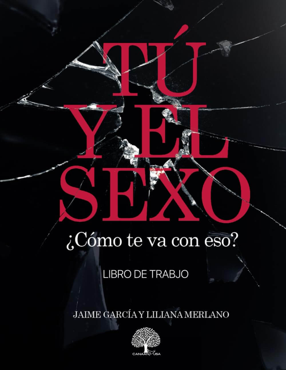 Tú y el Sexo ¿Cómo te va con eso? - Libro de Trabajo