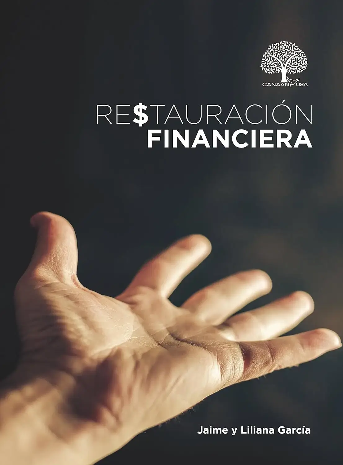 Restauración financiera 
