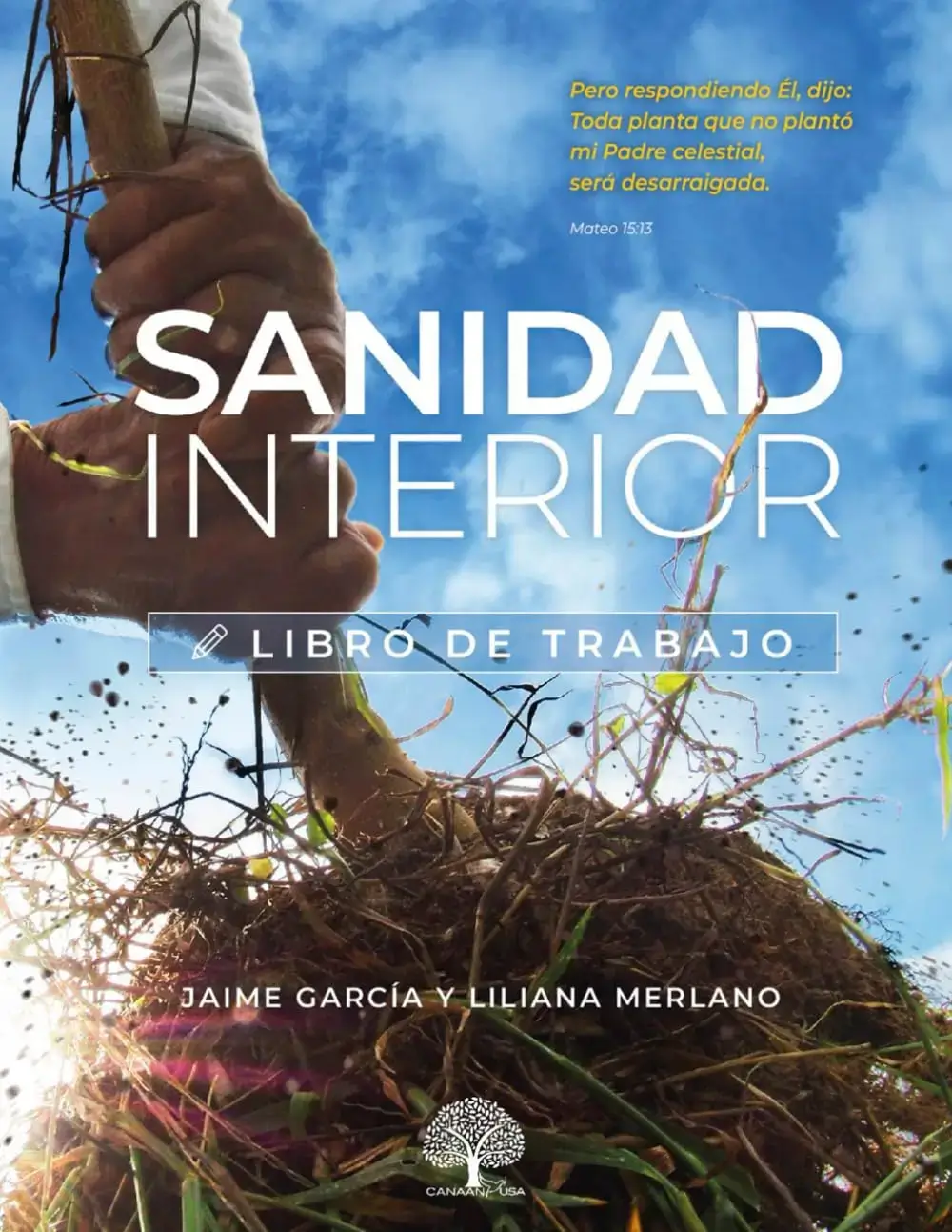 Sanidad Interior - Libro de trabajo 