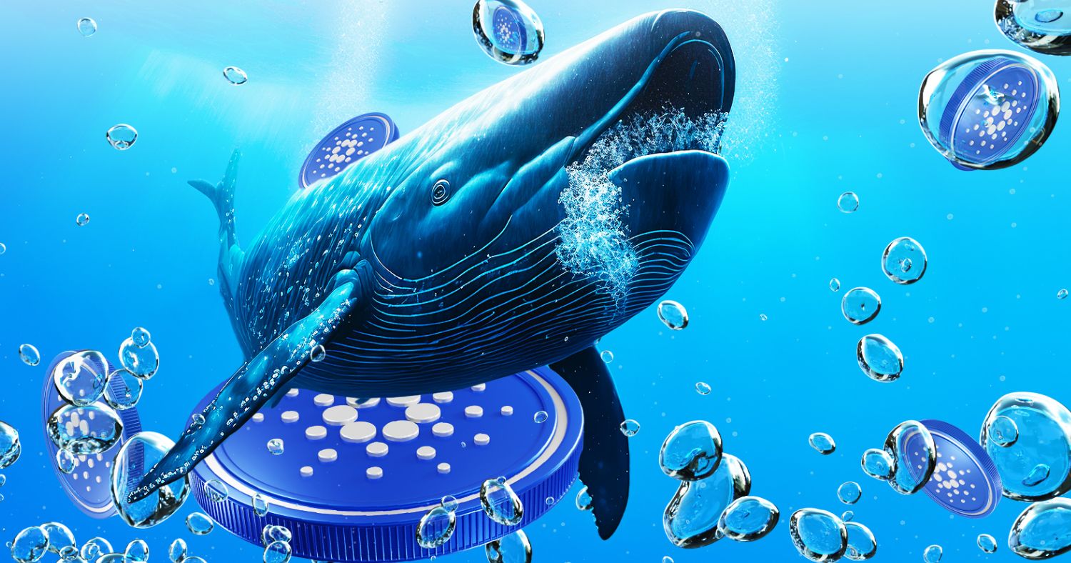 Cardano Whales Accumulate 120 Million ADA: Is a Market Shift on the Horizon?