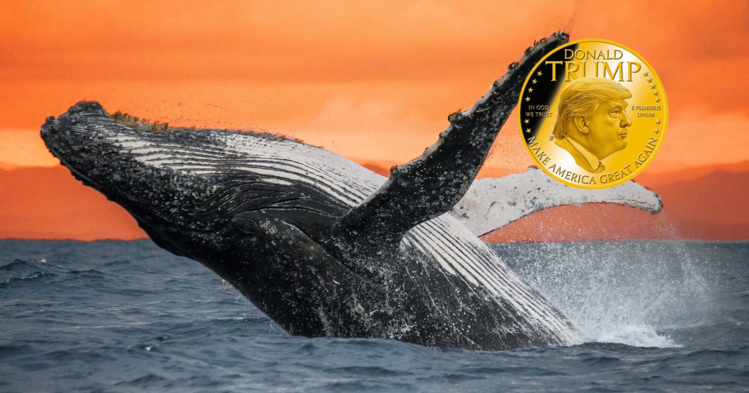 Whale Moves $2.35M in TRUMP as Token Struggles Near Key Support