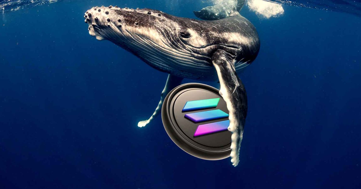 Solana Whales Shift $1.3 Billion as ETF Approval Odds Reach New Highs