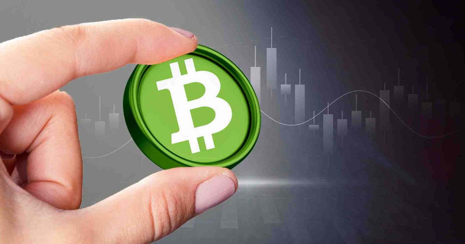 Bitcoin Cash Climbs as On-Chain Metrics Signal More Upside