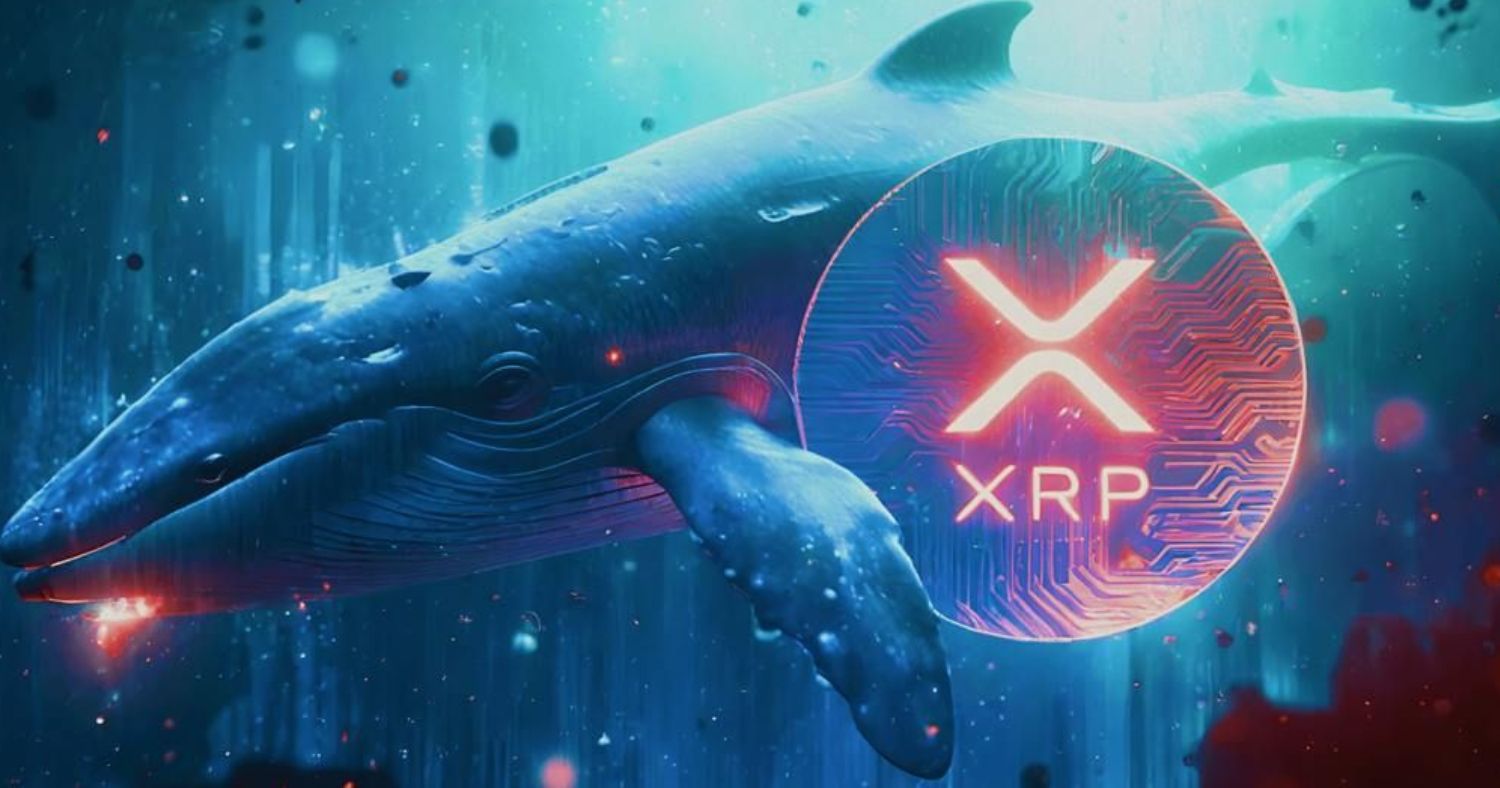 XRP Whales Quietly Accumulate $915M: Can Retail Investors Keep Up?