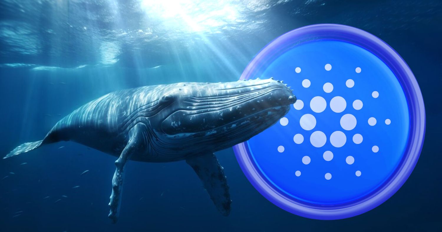 Cardano Whales Signal Potential Rally as ADA Eyes $0.91 Breakout