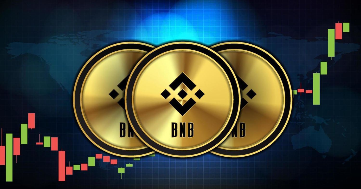 Binance Coin Tests Key Support Levels Amidst Market Uncertainty