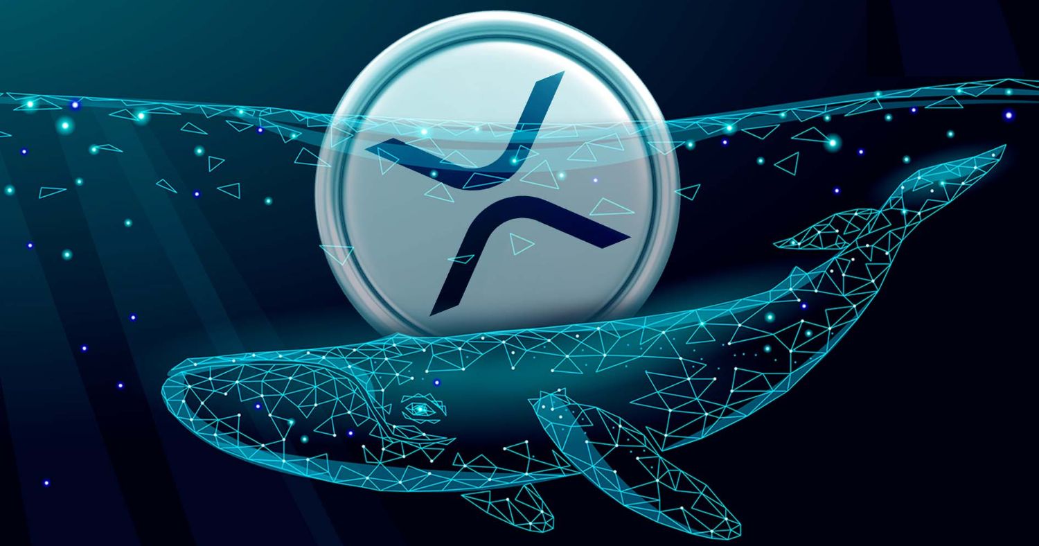 XRP Whale Shifts $70M to Coinbase: Decoding the Crypto Market Signal