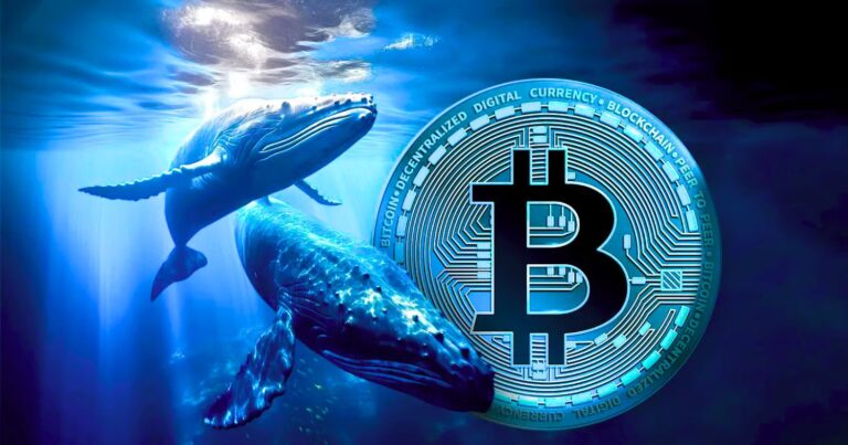 Bitcoin Whales Signal Market Shift as $120K Nears: What It Means for Investors