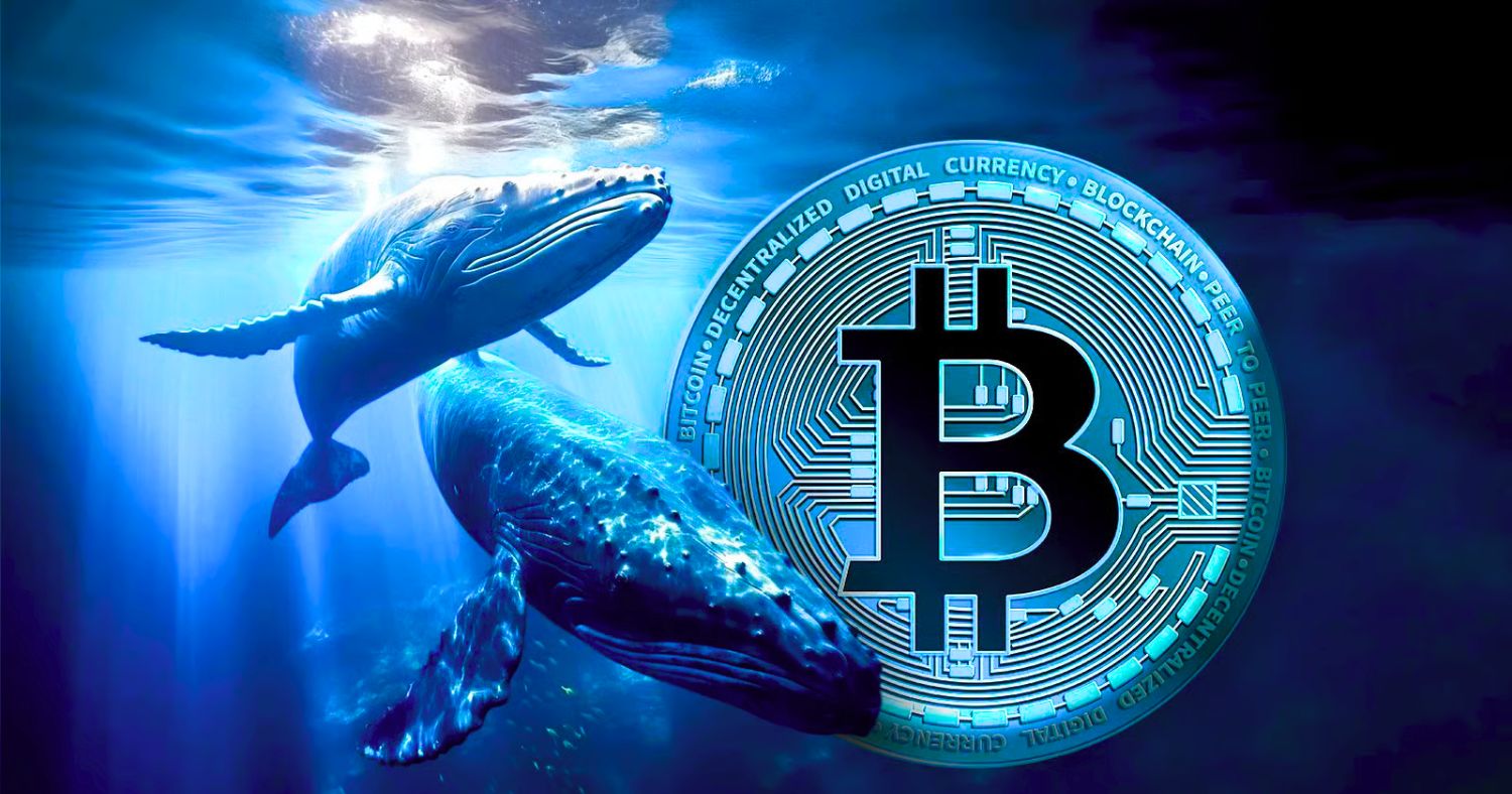 Bitcoin Whales Signal Market Shift as $120K Nears: What It Means for Investors