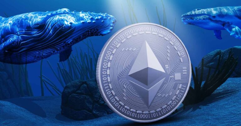 Decoding Ethereum Dip: Whales Signal Strategic Opportunity