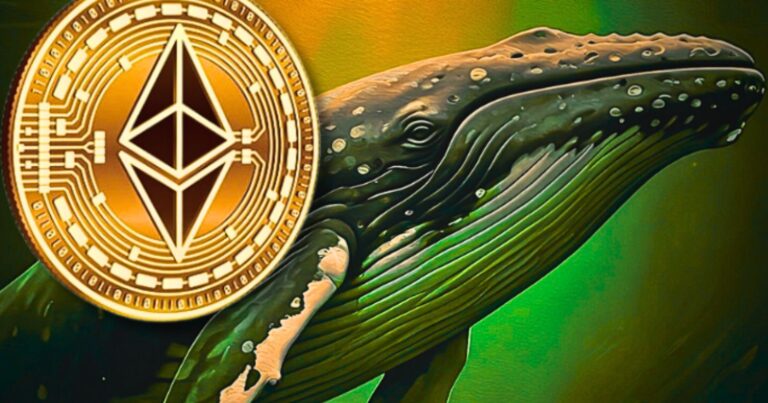 Ethereum Elite- Decoding Whale Accumulation Amid Shifting Market Tides