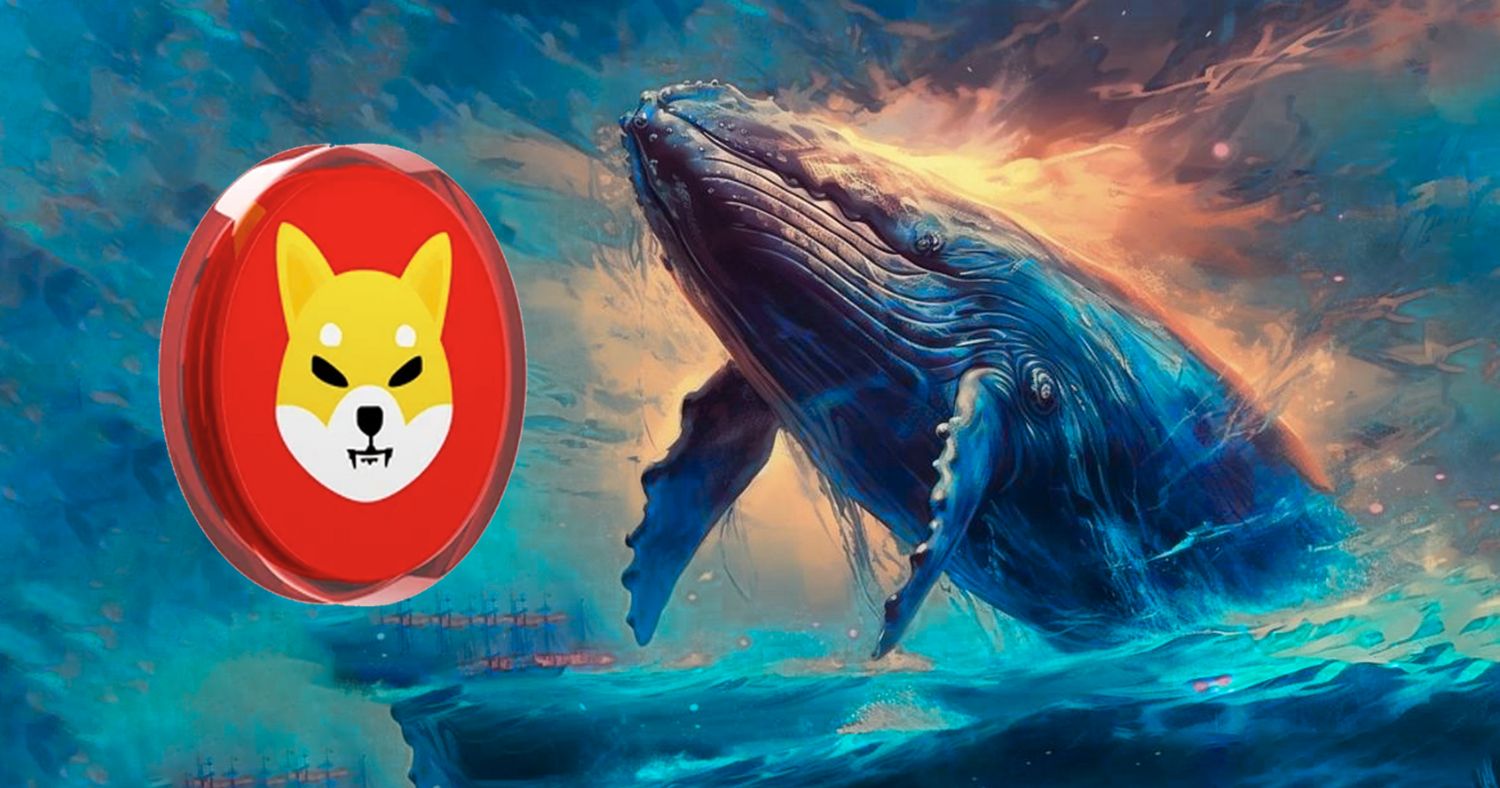 Shiba Inu Resilient Rally: Whales Accumulate as Burn Rates Decline