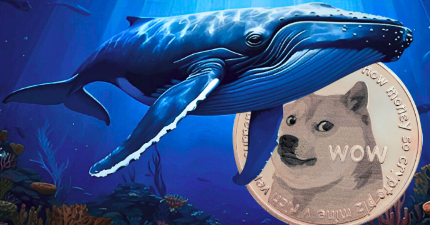 Whale Accumulation Sparks Dogecoin Rally Speculation