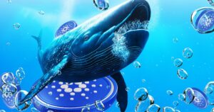 Cardano Whales Stage $100M Accumulation as Market Momentum Wavers