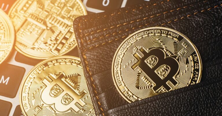 Bitcoin Wallet Accumulation Hits All-Time High: Institutional Demand, Dwindling Supply, and the Road Ahead