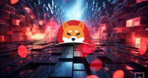Shibarium Bridge Flash Loan Attack Exposes Governance Risks in DeFi