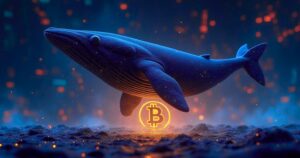 Bitcoin Whales Unload $13B as Retail Investors Anchor Bitcoin in a Volatile Band