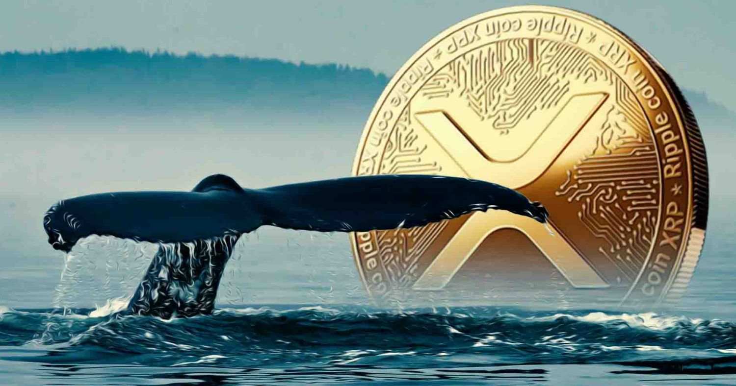 XRP Whale Activity Signals Looming Market Volatility as $480M Shifts Hands