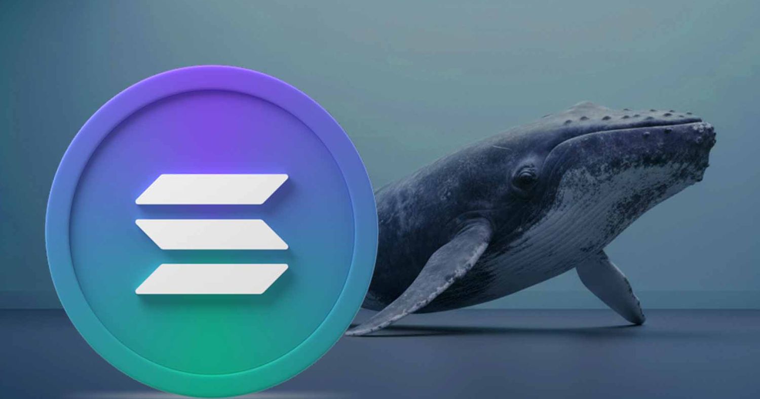 Solana Whale Moves Reshape Market Sentiment as $836M Hits Binance