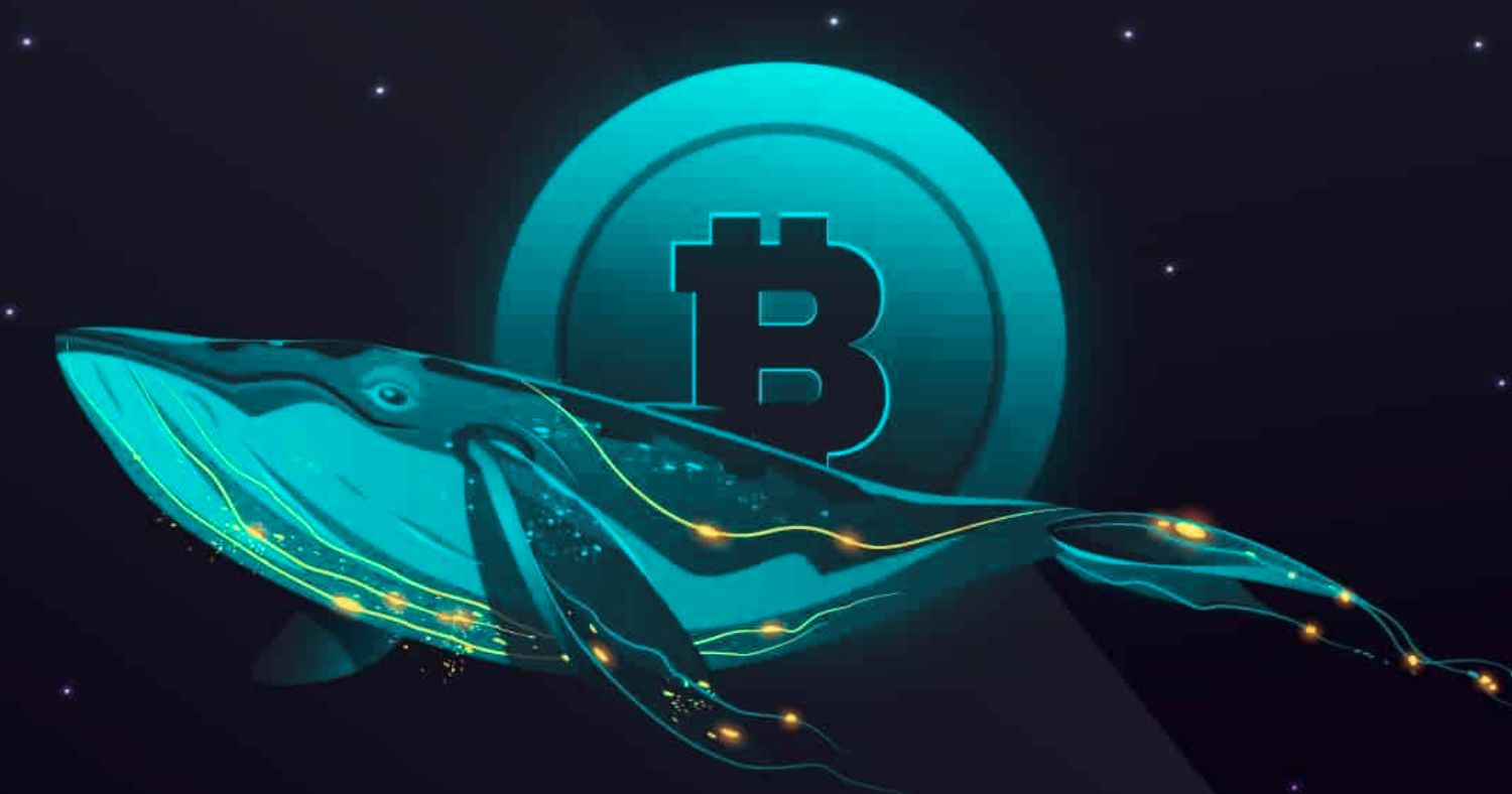 Bitcoin Whales Trigger Market Jitters with Record $16.6 Billion Selloff