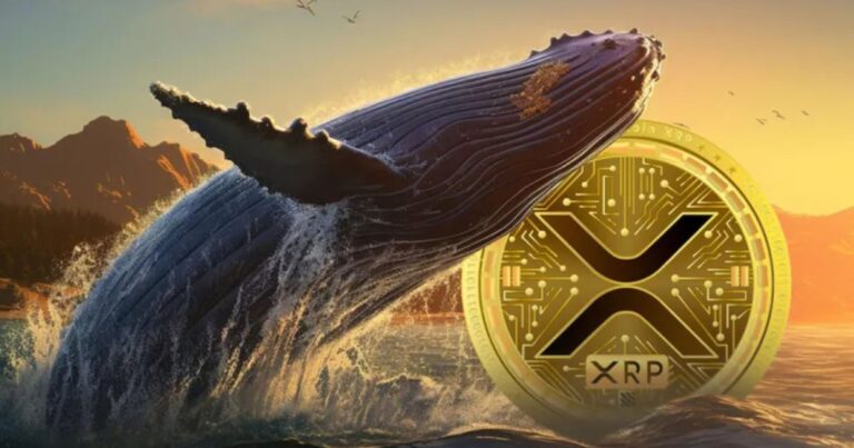 XRP Whales Deploy $125 Million in Strategic Accumulation Play