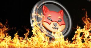 Shiba Inu Burn Rate Plummets Amidst Unprecedented Crypto Liquidations