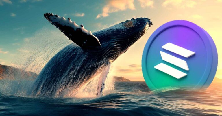 Whales Signal Potential Solana Rally as ETF Decision Looms