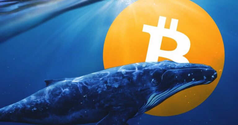 Bitcoin Whale Rare Market Move: $33M Transfer After 13 Years of Dormancy