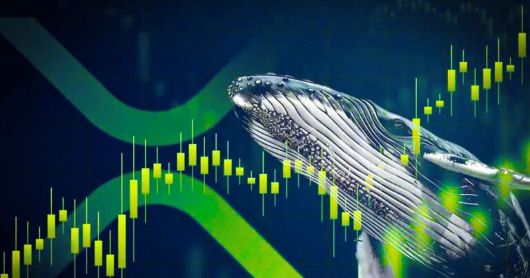 XRP Whales Maintain Silence as Institutional Players Build Strategic Positions