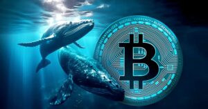 Bitcoin Whales Trigger Market Volatility: Inside the Latest High-Stakes Liquidations