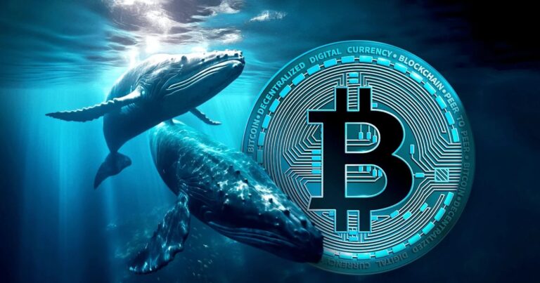 Bitcoin Whales Trigger Market Volatility: Inside the Latest High-Stakes Liquidations