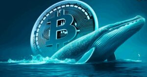 BTC Spot Whales Signal Renewed Market Confidence Amid Major Accumulation