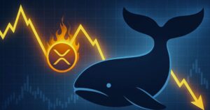 XRP Whale Activity Jumps: Signals and Caution Amid Market Pressure