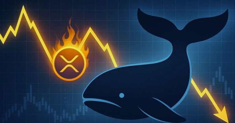 XRP Whale Activity Jumps: Signals and Caution Amid Market Pressure