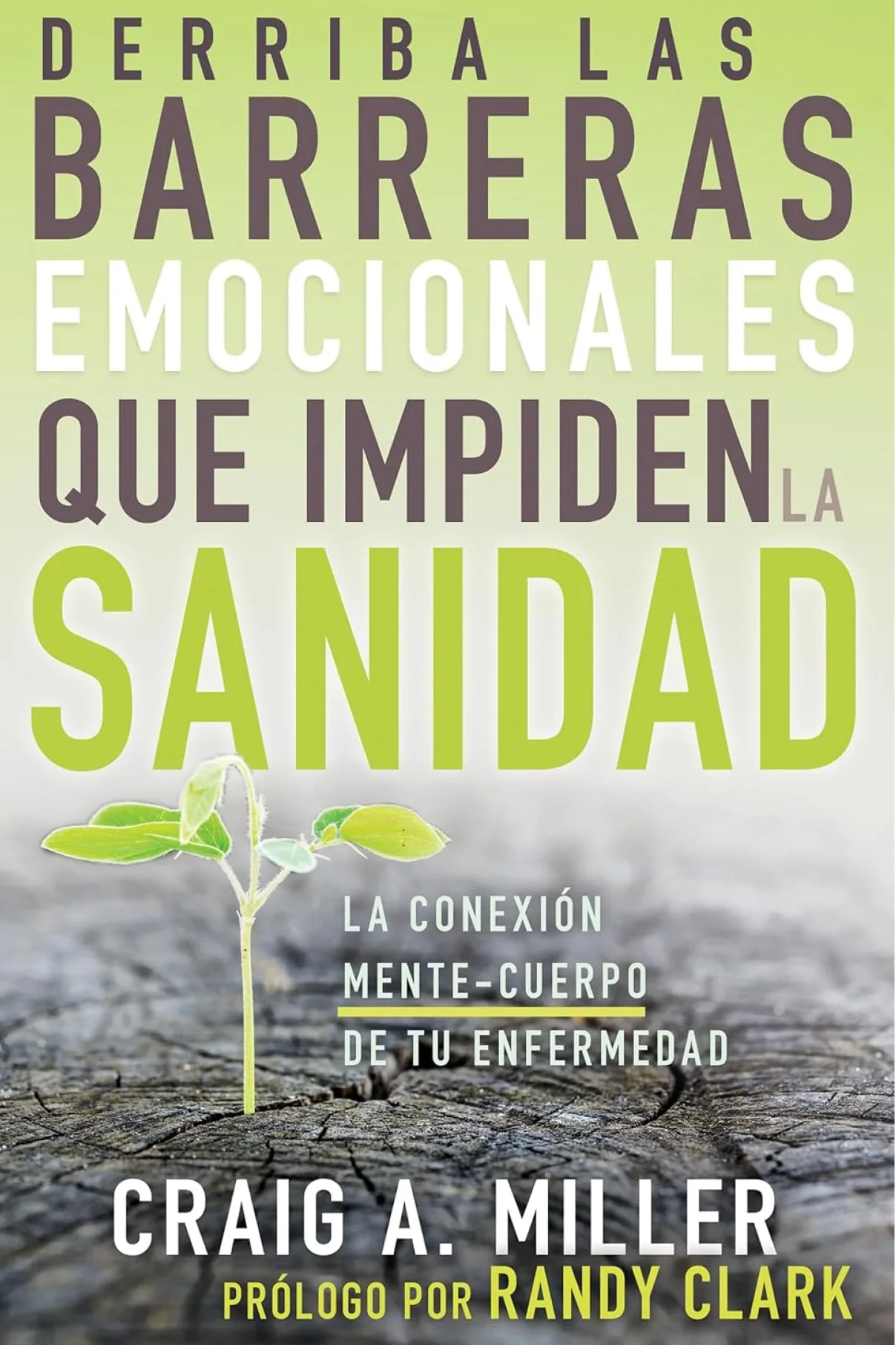 Derriba las barreras emocionales que impiden la sanidad