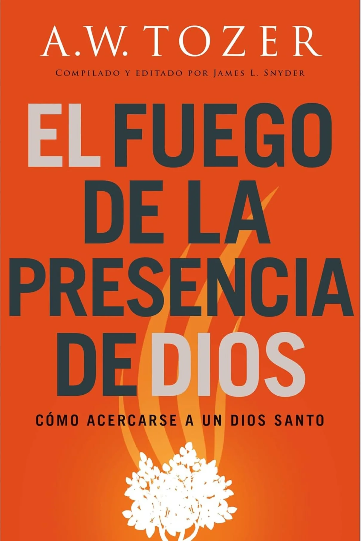 El fuego de la presencia de Dios